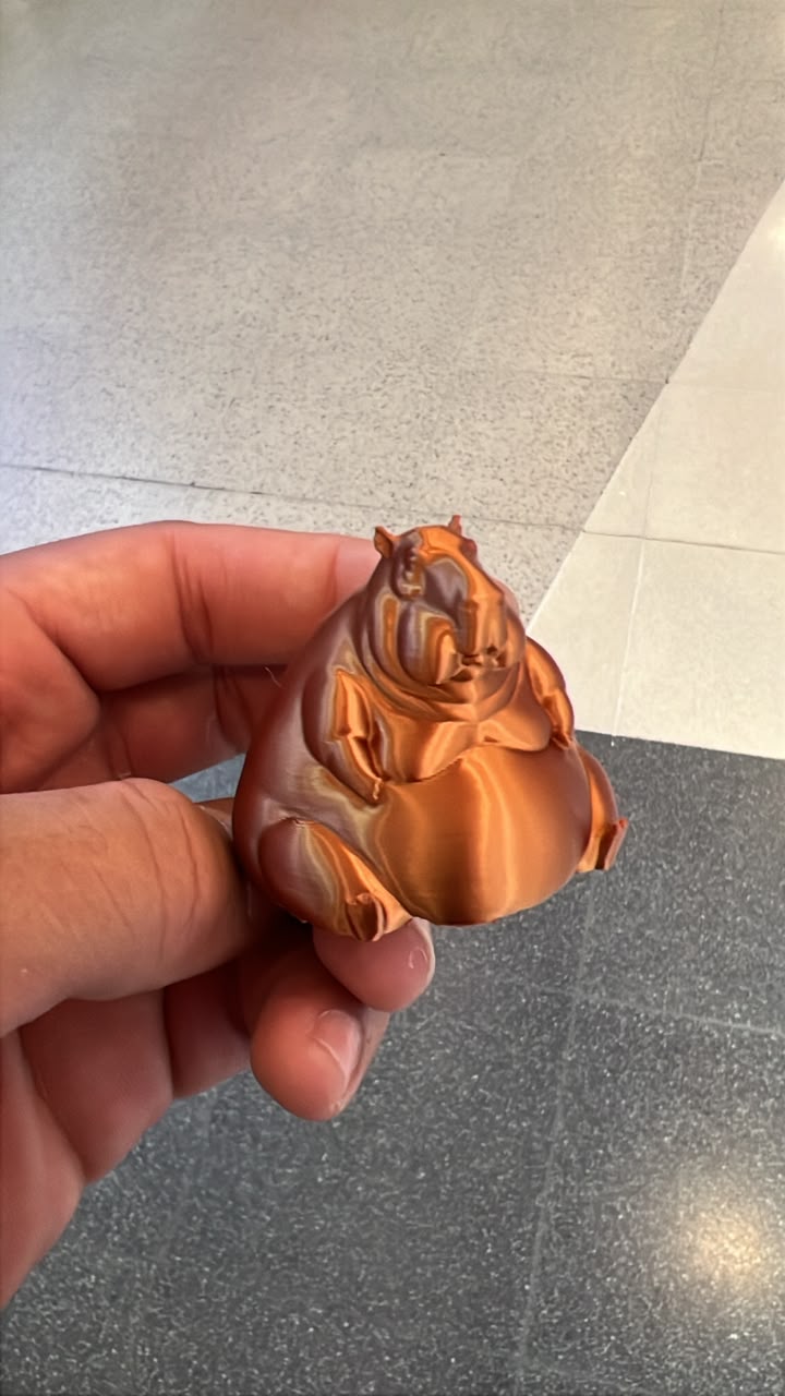 Capivara Gorda