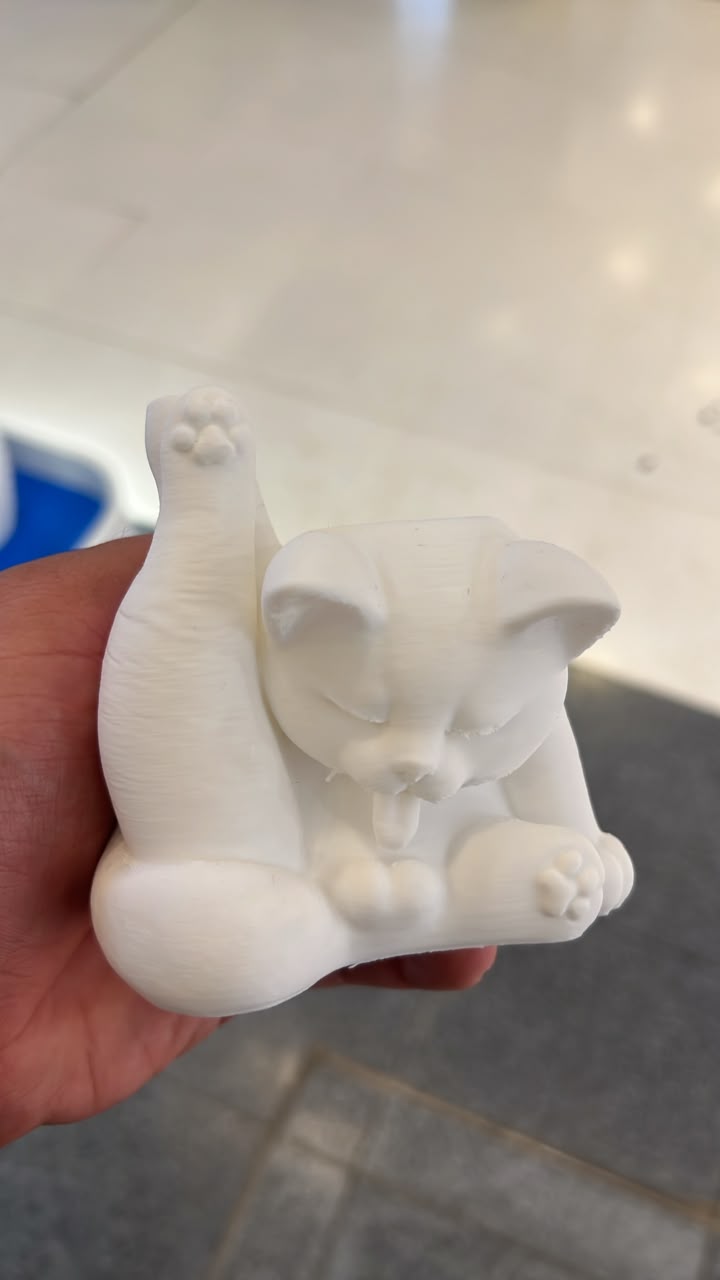 Gato se Lambendo