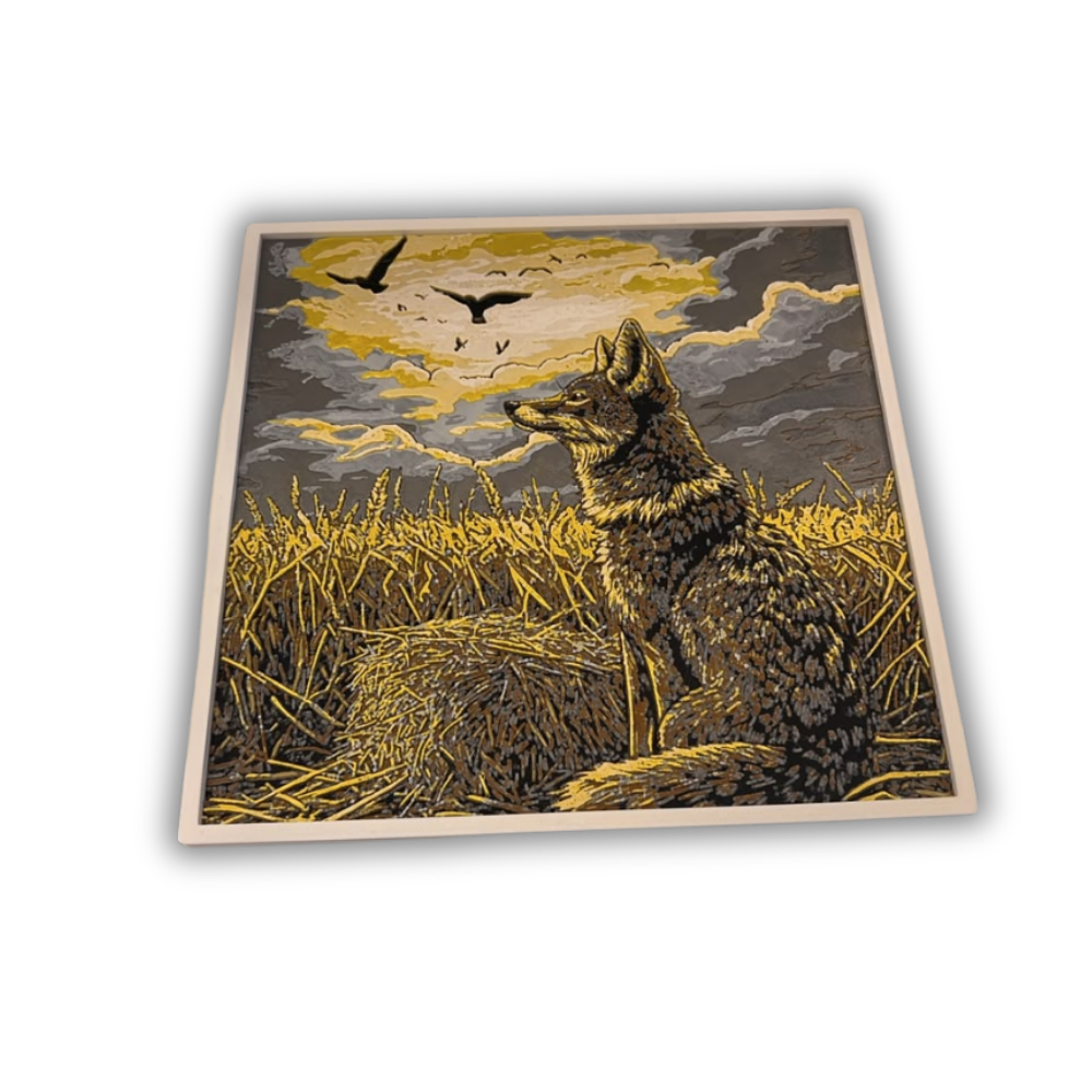 Quadro Coiote