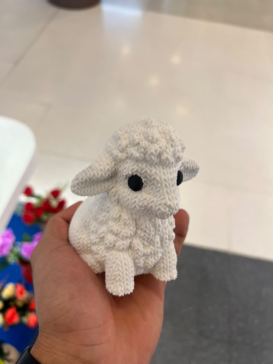 Ovelha Croche 