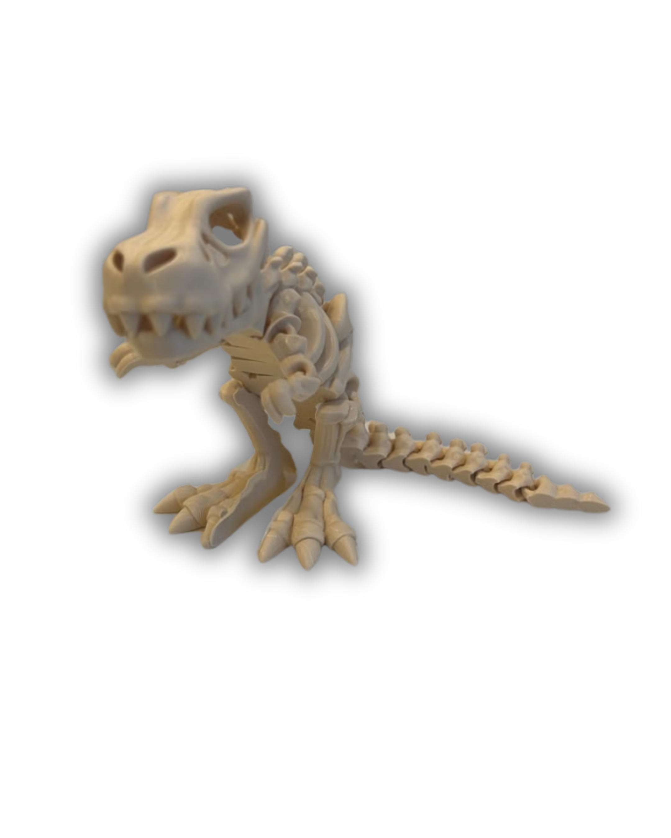 Esqueleto T-Rex Articulado 
