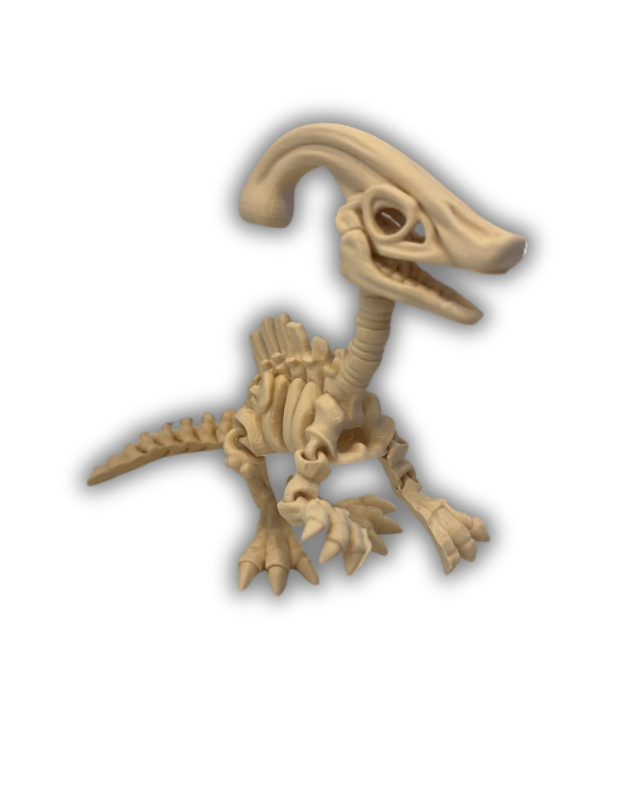 Esqueleto Parasaurolofo Articulado 