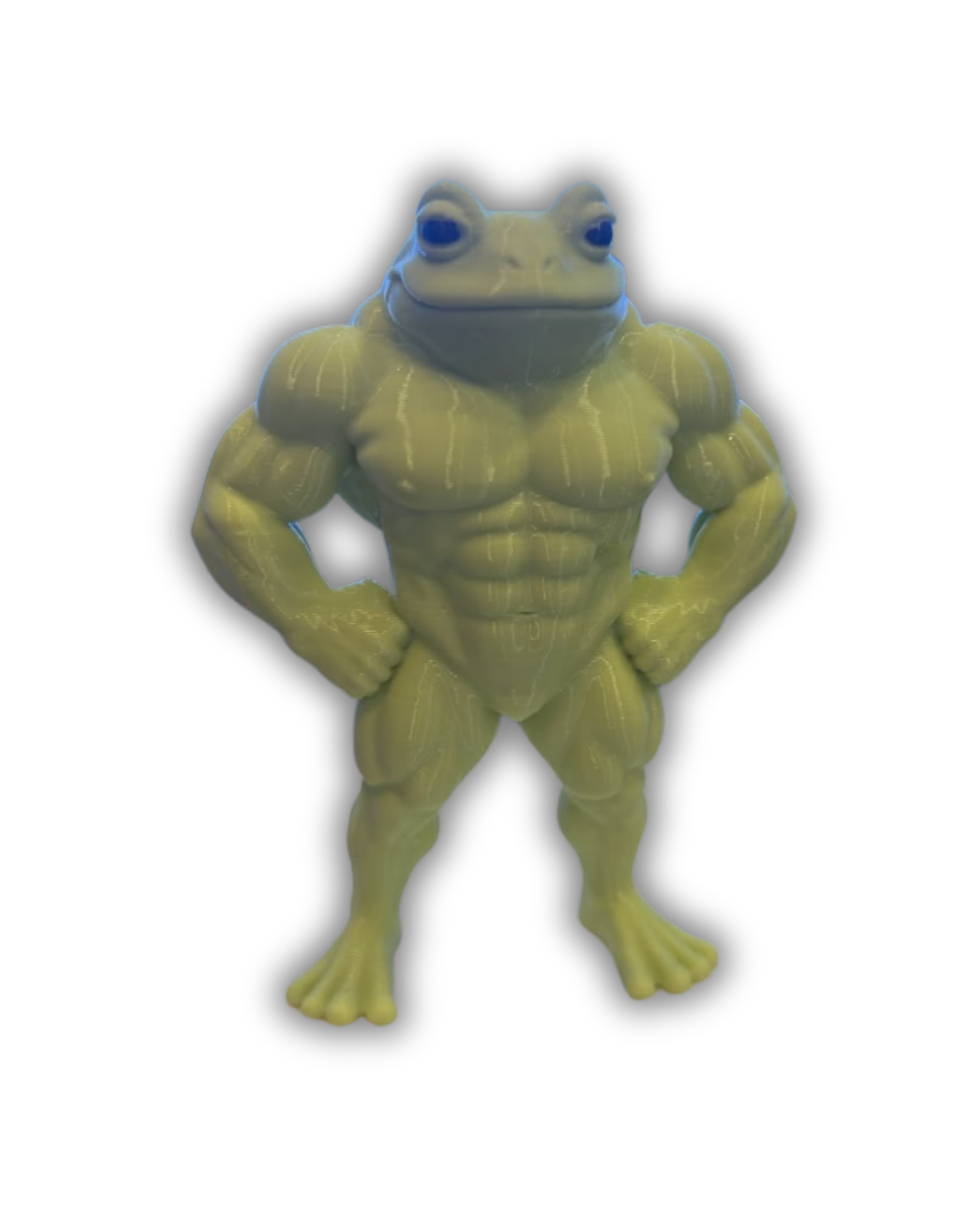 Sapo Musculoso