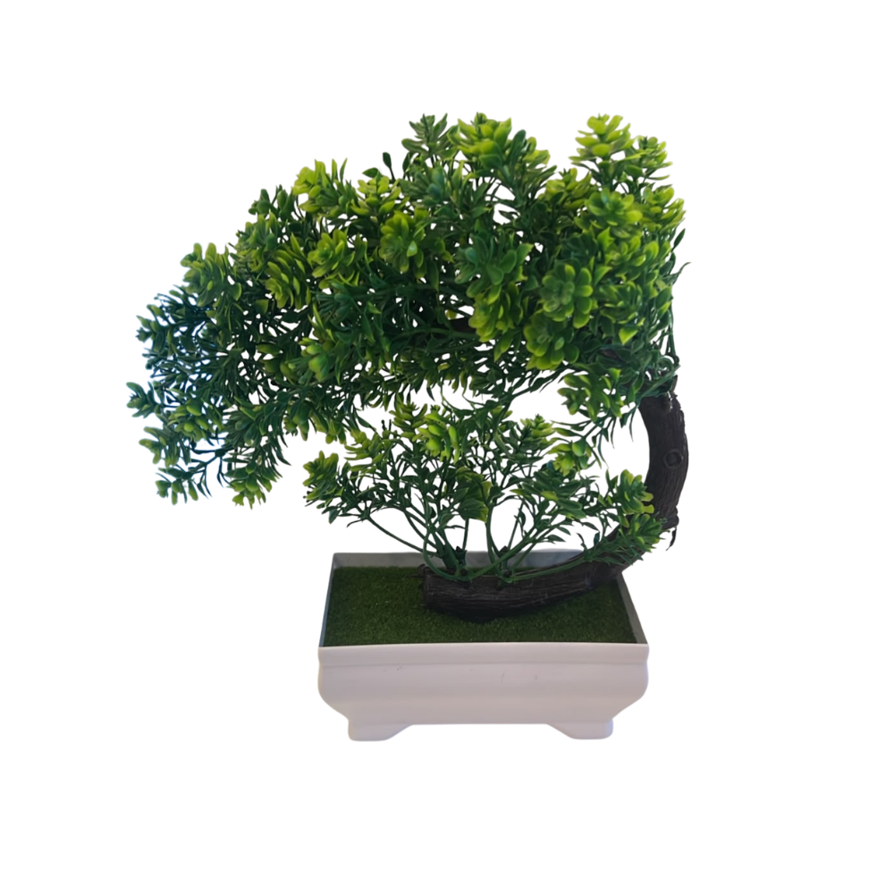 Bonsai [Japones Pinho Pinheiro]