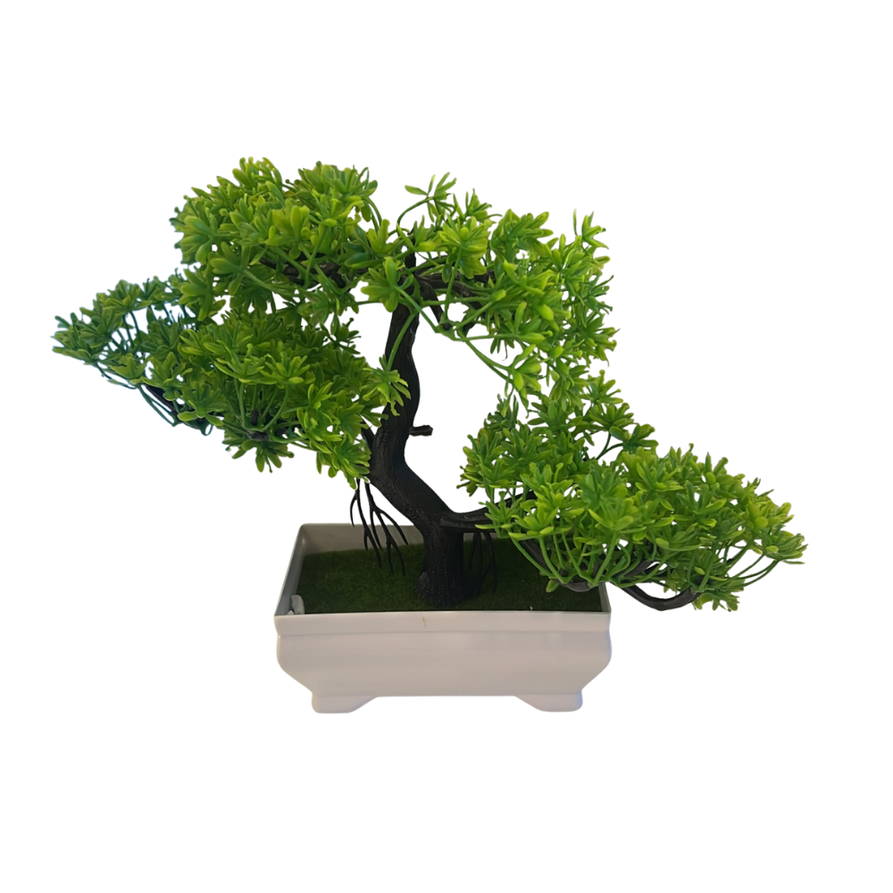 Bonsai [Modelo Nuvem]