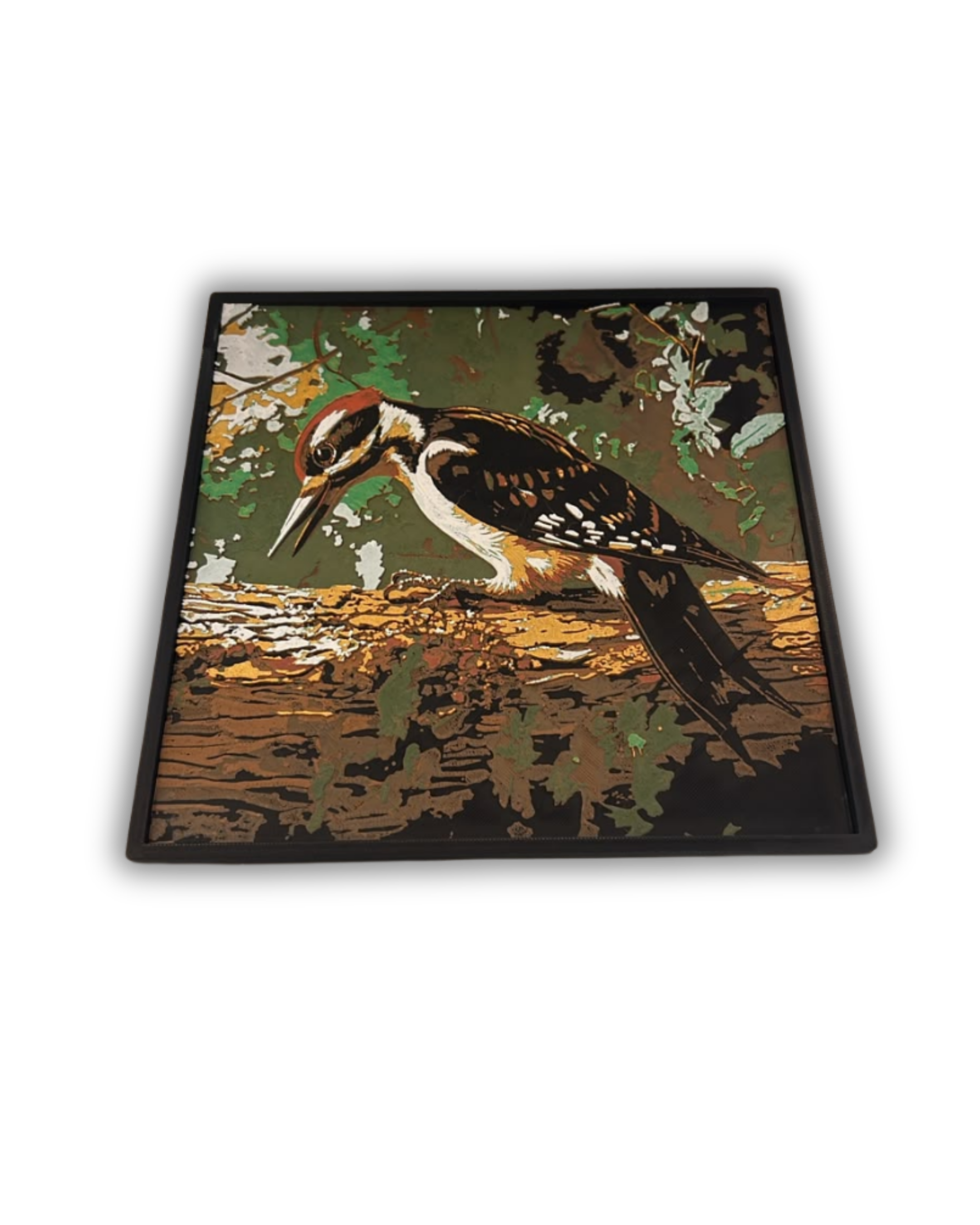 Quadro Ilustração Vintage de Pica-pau